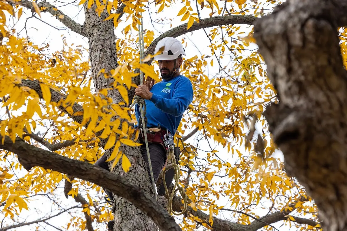 Skilled Storm Damage Cleanup crew working in Goshen