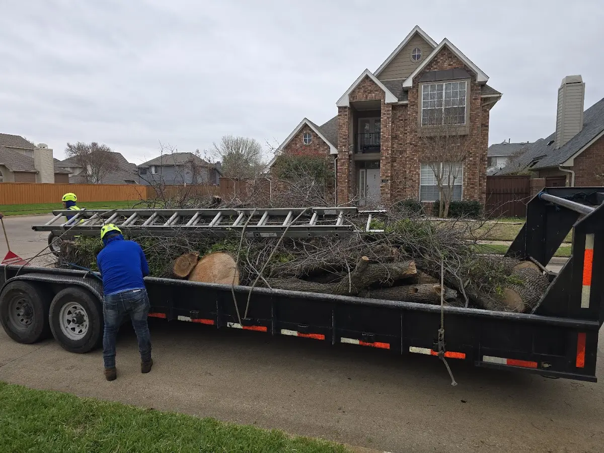 Expert Tree Removal with proper safety equipment in Goshen